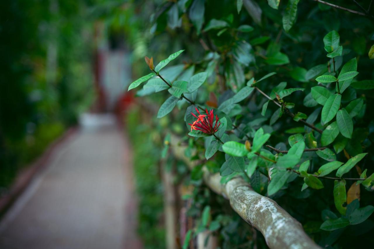 Palm Grove Eco Resort Port Blair Exterior foto